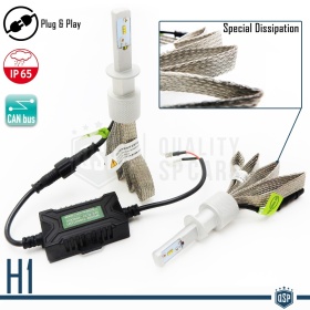 Kit LED H1 CANbus Profesional | Conversión de Halógena H1 a LED | 6500K Blanco Frío 8000LM