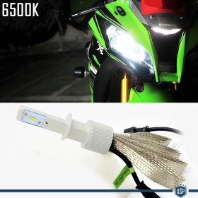 1 Lampadina Full LED H1 CANbus Professionale | Conversione da Alogena H1 a LED | 6500K Luce Bianca 4000LM