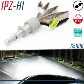 1 Lampadina Full LED H1 CANbus Professionale | Conversione da Alogena H1 a LED | 6500K Luce Bianca 4000LM