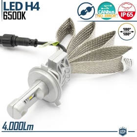 1 Bombilla LED H4 CANbus Profesional | Conversión de Halógena H4 a LED | 6500K Blanco Frío 4000LM