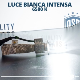 1 Bombilla LED H4 CANbus Profesional | Conversión de Halógena H4 a LED | 6500K Blanco Frío 4000LM