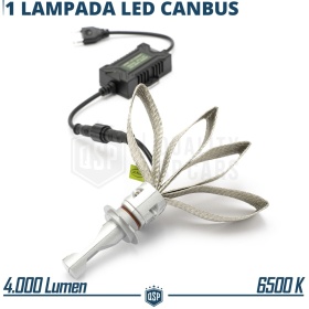 1 Bombilla LED H7 CANbus Profesional | Conversión de Halógena H7 a LED | 6500K Blanco Frío 4000LM