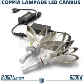 Kit LED H7 CANbus Profesional | Conversión de Halógena H7 a LED | 6500K Blanco Frío 8000LM