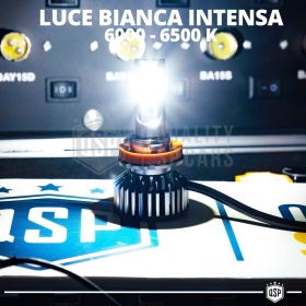 1 Bombilla LED H8 CANbus 4000LM | Luz Blanca 6000K | Conversión Profesional de Halógena H8 a LED