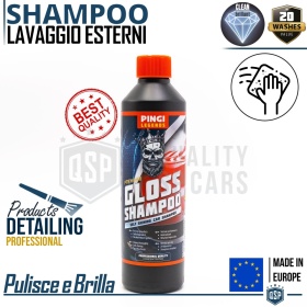 Champú Profesional Lavado de Coche LEGENDS | Limpia y Pule Carrocería CAR DETAILING | FABRICADO EN EUROPA