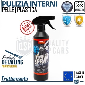 Limpieza INTERIOR Coche Profesional TRATAMIENTO Cuero + Plástico | LEGENDS Car Detailing | FABRICADO EN UE