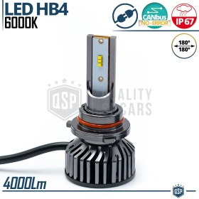 1 Ampoule LED HB4 CANbus 4000LM | Lumière Blanche 6000K | Conversion Professionnel de Halogène HB4 à LED