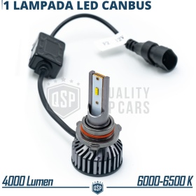1 Ampoule LED HB4 CANbus 4000LM | Lumière Blanche 6000K | Conversion Professionnel de Halogène HB4 à LED