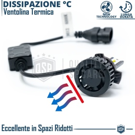 1 Bombilla LED HIR2 CANbus 4000LM | Luz Blanca 6000K | Conversión Profesional de Halógena HIR2 a LED