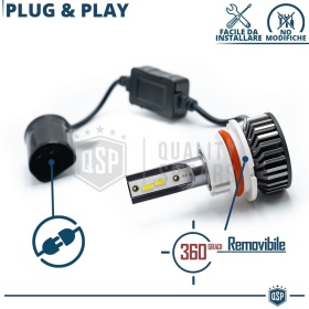 Kit LED HB1 CANbus Profesional 8000LM | Luz Blanca 6000K | Conversión de Halógena HB1 a LED