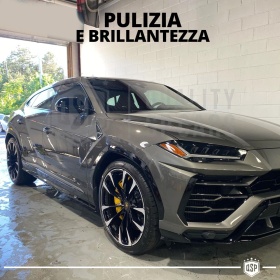 Professional Car Wash Shampoo | Cleans and Polishes the Bodywork of your Cupra