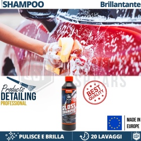 Champú Profesional Lavado de Coche | Limpia y Pule la Carrocería de tu Ford CAR DETAILING