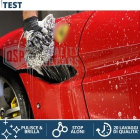 Champú Profesional Lavado de Coche | Limpia y Pule la Carrocería de tu Ford CAR DETAILING