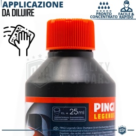Champú Profesional Lavado de Coche | Limpia y Pule la Carrocería de tu Ford CAR DETAILING