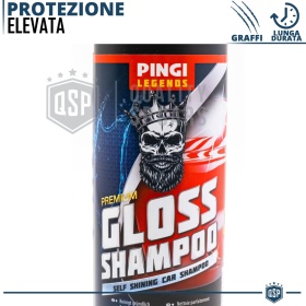 Champú Profesional Lavado de Coche | Limpia y Pule la Carrocería de tu Ford CAR DETAILING