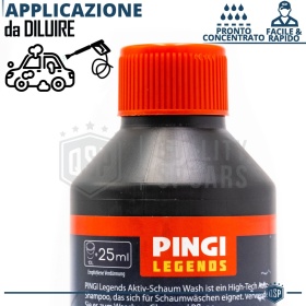 Car Shampoo ACTIVE FOAM Professional for Bodywork of your Lada | Washing with Pressure Washer | Car Detailing