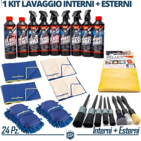 24 Productos LAVADO de Coche PROFESIONAL, Limpieza Exterior e Interior de Coche INTEGRAL