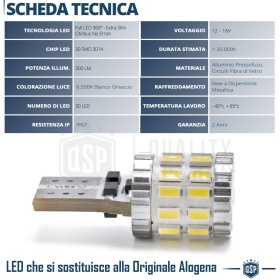 1 Bombilla LED T10 W5W CANbus, Potente Luz Blanca 360° | 300LM, EXTRA DELGADO