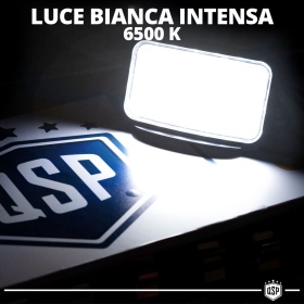 Luce de Matricula LED para Ford Mustang 5 (05-10) | CANbus 6500K Blanco Frío, Plug & Play