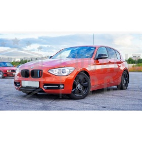 3x Grille COVER STRIPES in Colors M Sport for BMW 1 Series (F20 F21) 11-14 with 11 vertical grills
