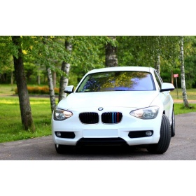 3x Grille COVER STRIPES in Colors M Sport for BMW 1 (F20 F21) 11-14 WITH 8 vertical grills