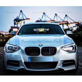 3x Grille COVER STRIPES in Colors M Sport for BMW 1 (F20 F21) 11-14 WITH 8 vertical grills