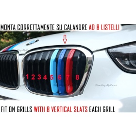 3x RIÑONES REJILLA en colores M Sport para BMW X1 (F48) 15-19 CON 8 Bandas Verticales en ABS