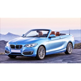 3x RIÑONES REJILLA en ABS en colores M Sport para BMW SERIE 2 (F22 F23) 2014- REJILLA A 11 BANDAS