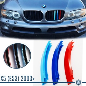 3x RIÑONES REJILLA para BMW SERIE X5 (E53) 2003-2006 Facelift en colores M Sport
