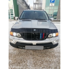 3x RIÑONES REJILLA para BMW SERIE X5 (E53) 2003-2006 Facelift en colores M Sport