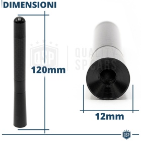 Universal Screw Aerial Antenna 12 CM Carbon Fiber REAL AM-FM-DAB Radio Reception