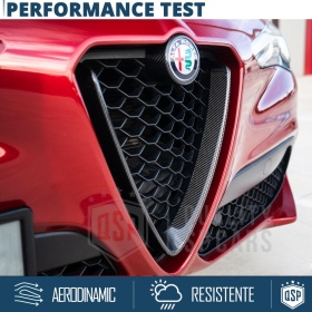 REJILLA Delantera para Alfa Romeo Stelvio Parrilla Tuning CARBÓN NEGRO Nido de Abeja