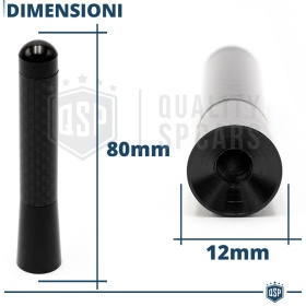 Universal Screw Aerial Antenna 8 CM Carbon Fiber REAL AM-FM-DAB Radio Reception