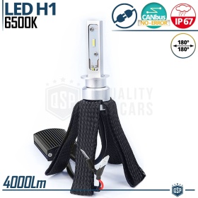 1 Bombilla LED H1 CANbus Plug & Play | NEW ANILLO AJUSTABLE | Conversión de Halógena H1 a LED | 6500K Blanco Frío 4000LM