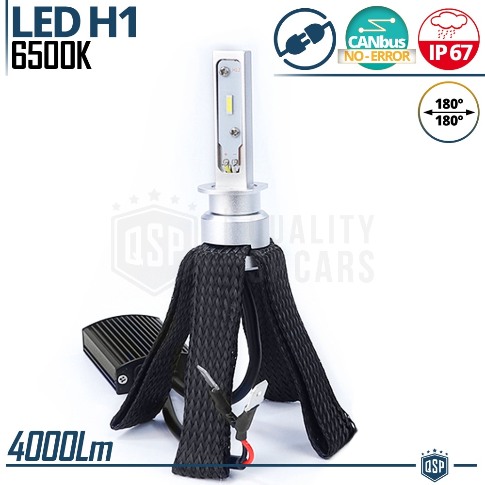 1 Bombilla LED H1 CANbus Plug & Play | NEW ANILLO AJUSTABLE | Conversión de Halógena H1 a LED | 6500K Blanco Frío 4000LM