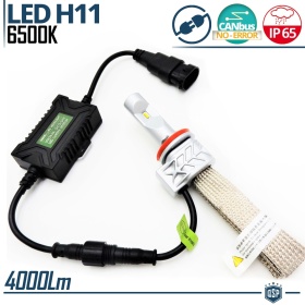 1 Lampadina Full LED H11 CANbus Professionale | Conversione da Alogena H11 a LED | 6500K Luce Bianca 4000LM