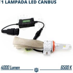 1 Lampadina Full LED H11 CANbus Professionale | Conversione da Alogena H11 a LED | 6500K Luce Bianca 4000LM