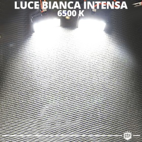 2 Luces de Matricula LED para MERCEDES ML, GL CANBUS 18 LED 6.500K BLANCO FRIO Plug & Play