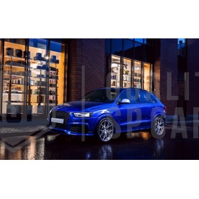 Parrilla REJILLA Delantera para AUDI Q3 RSQ3 8U (11-14) | Nido de Abeja, Negro Brillante