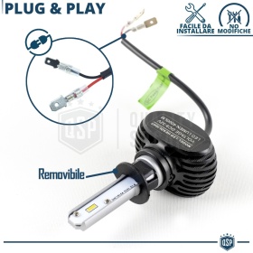 Kit LED H1 CANbus Profesional | Bombillas Led Luz Blanco Frío 6500K 8000LM