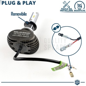 LED H3 Kit CANbus Professional | Led Bulbs Conversion White Light 6500K 8000LM