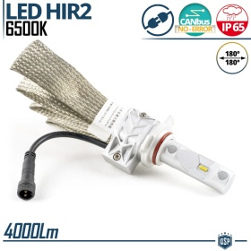1 Bombilla LED HIR2 CANbus Profesional | Conversión de Halógena HIR2 a LED | 6500K Blanco Frío 4000LM