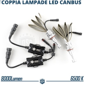 Kit LED HIR2 CANbus Profesional | Conversión de Halógena HIR2 a LED | 6500K Blanco Frío 8000LM