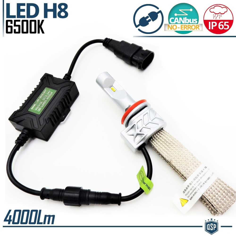 1 Bombilla LED H8 CANbus Profesional | Conversión de Halógena H8 a LED | 6500K Blanco Frío 4000LM