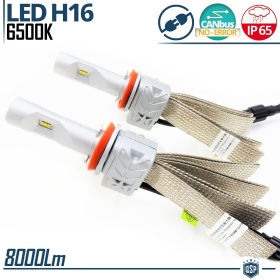 Kit LED H16 CANbus Profesional | Conversión de Halógena H16 a LED | 6500K Blanco Frío 8000LM