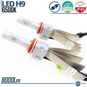 Kit LED H9 CANbus Profesional | Conversión de Halógena H9 a LED | 6500K Blanco Frío 8000LM