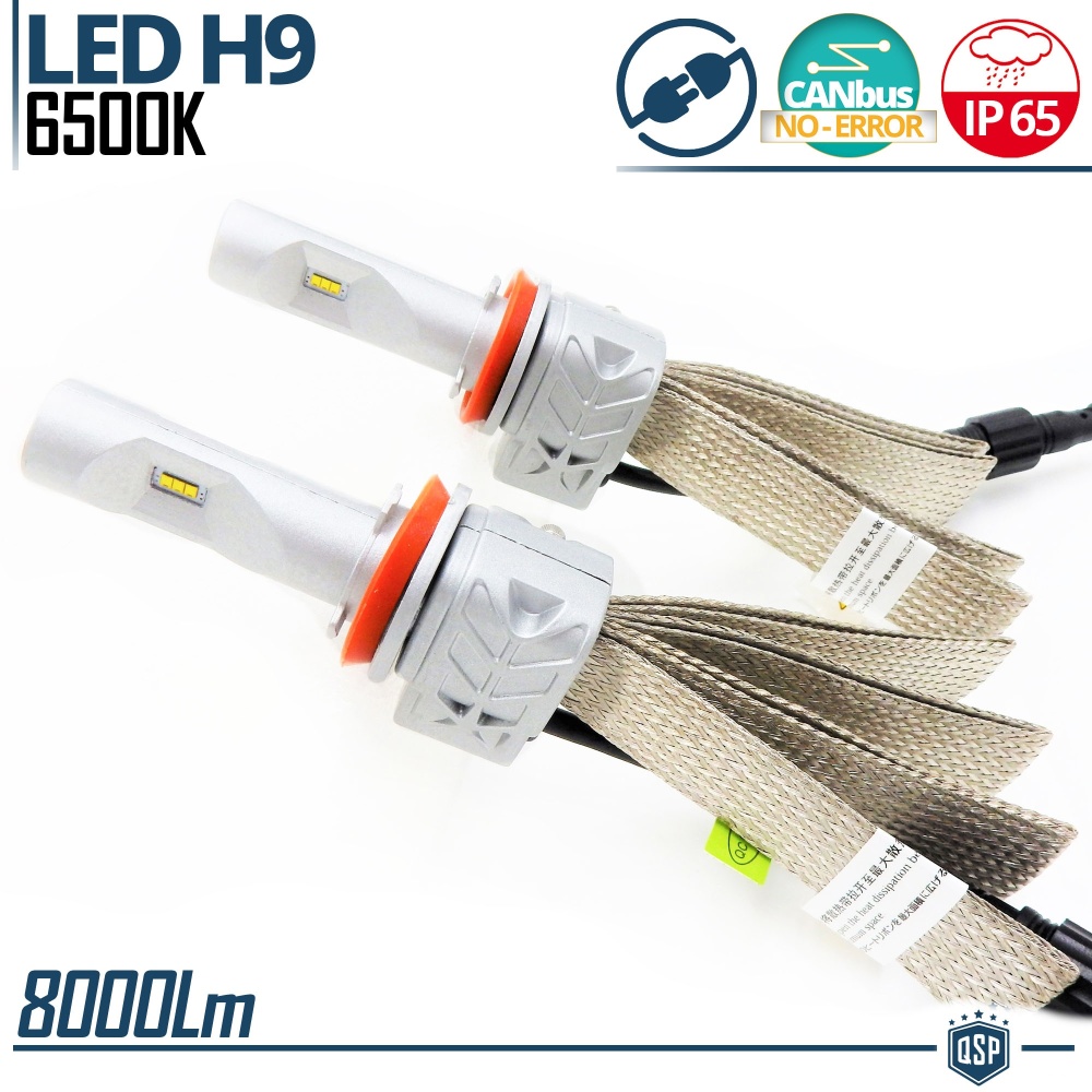 Kit LED H9 CANbus Profesional | Conversión de Halógena H9 a LED | 6500K Blanco Frío 8000LM