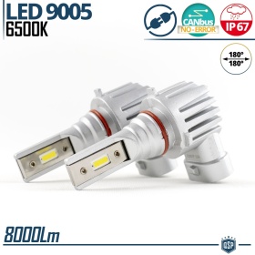 Kit LED 9005 Luces de Niebla | Blanco Frío 6500K Potente 8000LM | CANbus Sin Error, Plug & Play