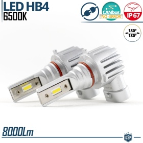 Kit Full LED HB4 per Fendinebbia | Luce Potente Bianco Ghiaccio 6500K 8000LM | Canbus No Error, Plug & Play