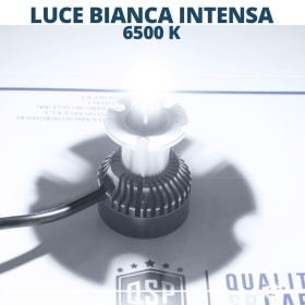 1 Bombilla LED D5S | Conversión de Xenon HID a LED Plug & Play | Luz Blanca Potente 360° | 6000LM 6500K
